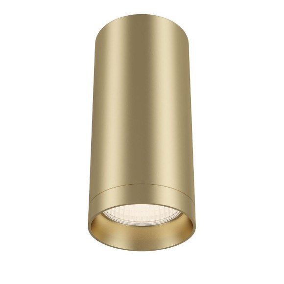 Потолочный светильник Maytoni Focus C010CL-01MG