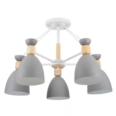 Потолочная люстра Freya Delia FR5033CL-05W