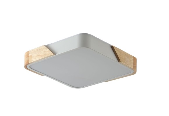 Потолочный светильник Zortes Alberro ZRS.01285.24