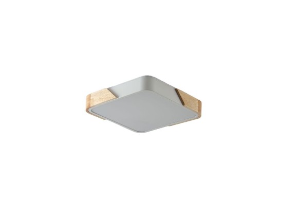 Потолочный светильник Zortes Alberro ZRS.01285.24