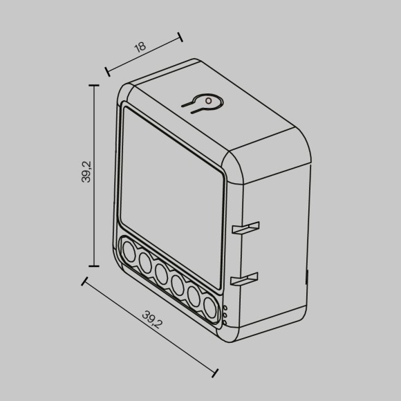 Wi-Fi выключатель двухканальный Maytoni Lighting control MS008