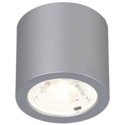 Накладной светильник Favourite Deorsum 2808-1C