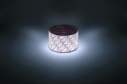 Светодиодная лента Эра 12В 2835 9,6Вт/м 6500K 5м IP65 LS2835-9,6-120-12-6500K-IP65-1 year-5m Б0035599