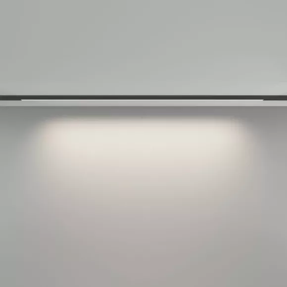 Трековый магнитный светильник Maytoni Basis TR190-1-15W4K-B, Черный, Нейтральный белый, Алюминий Трековый магнитный светильник Maytoni Basis TR190-1-15W4K-B, Черный, Нейтральный белый, Алюминий