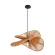 Подвесной светильник Lumion Eco Rope 8381/1, Кантри, Бежевый, Черный