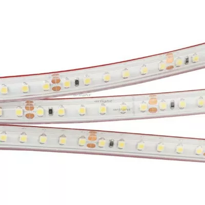 Светодиодная лента Arlight RTW 2-5000PS 24V White6000 2x (3528, 600 LED, LUX) 022321