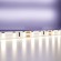 Светодиодная лента Maytoni Led Strip 12В 2835 9,6Вт/м 4000K 5м IP20 20011