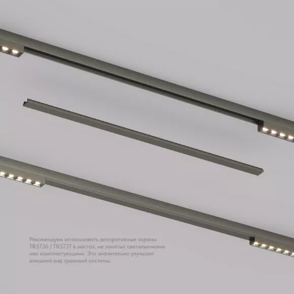Декоративная заглушка желоба трека Denkirs Shine Base TR5737-DN, светодиодный модуль Декоративная заглушка желоба трека Denkirs Shine Base TR5737-DN, светодиодный модуль