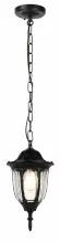 Уличный подвесной светильник ЭРА Галатея GBS-105-BL-0800 230В Е27 IP54 чёрный Б0071486, Черный, Прозрачный, Алюминий, основание крупным планом