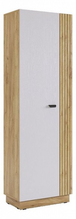 Шкаф платяной Моди MBS_MGM-02_2563