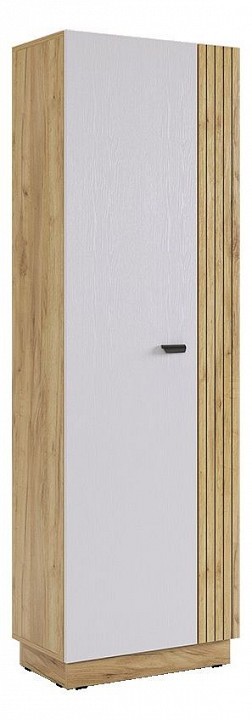 Шкаф платяной Моди MBS_MGM-02_2563