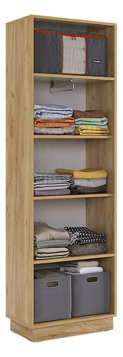 Шкаф платяной Моди MBS_MGM-02_2563