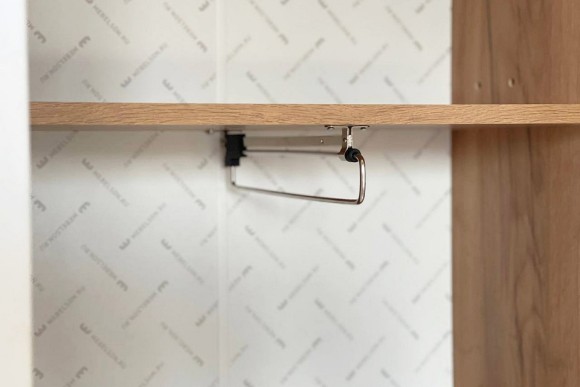 Шкаф платяной Моди MBS_MGM-02_2563