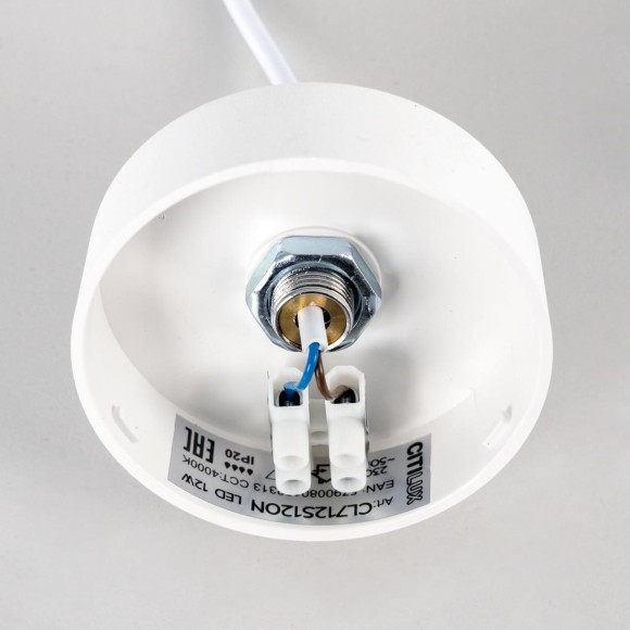 Подвесной светильник Citilux Тао CL712S120N