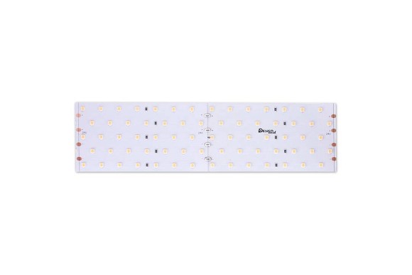 Светодиодная лента DesignLed DSG2350-24-WW-33 000534