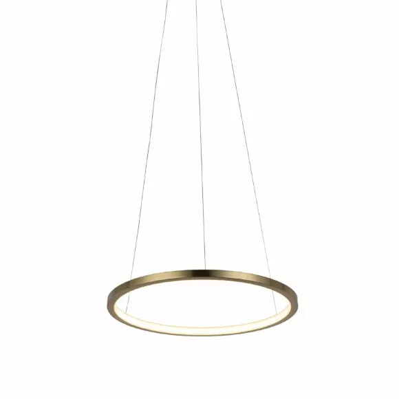Подвесной светодиодный светильник Loft IT Ring 10014S, Золото, Теплый белый, Металл Подвесной светодиодный светильник Loft IT Ring 10014S, Золото, Теплый белый, Металл