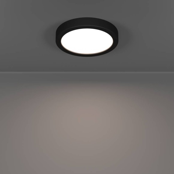 Настенно-потолочный светильник Eglo Fueva 6 901324