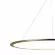 Подвесной светодиодный светильник Loft IT Ring 10014XXL, Золото, Теплый белый, Металл
