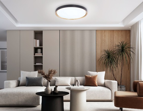 Потолочный светильник Ambrella Light Orbital Air FZ1249