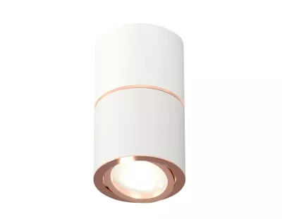 Потолочный светильник Ambrella Light Techno Spot XS7401220 (C7401, A2073, C7401, N7005)