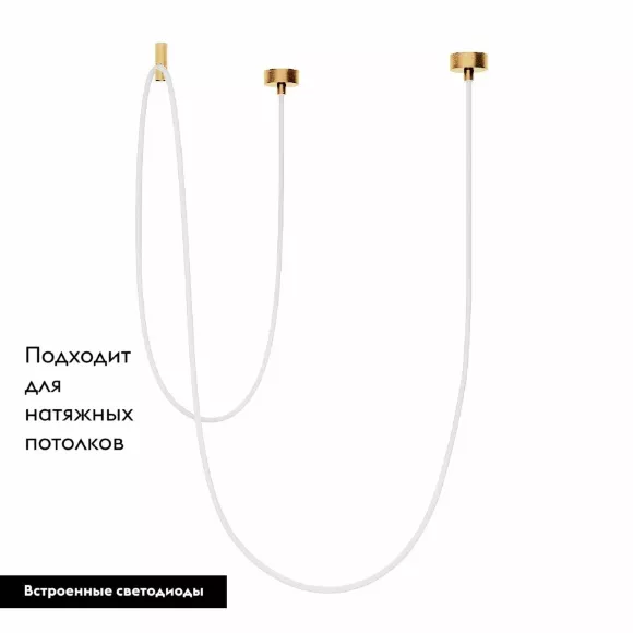 Подвесной светильник Arlight SP-TROPIC-SURFACE-R18-L5000-58W Day4000 (GD, 360 deg, 230V) 043398, Золото, Белый, Нейтральный белый