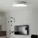 Потолочный светильник ImperiumLoft Shell 228949-26