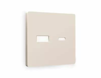 Лицевая панель для розетки 2USB A+C Ambrella Volt Alfa AP3310