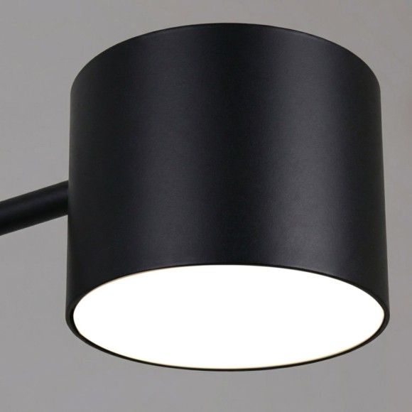 Люстра на штанге Reluce 47206-0.3-08BK