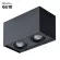 Потолочный светильник Arte Lamp Factor A5544PL-2BK