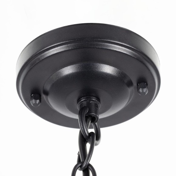 Уличный подвесной светильник Citilux Forts CLU09S