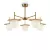 Люстра на штанге Freya Camelia FR5202PL-05BS
