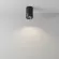 Накладной светильник Maytoni Zoom C029CL-01-S-B