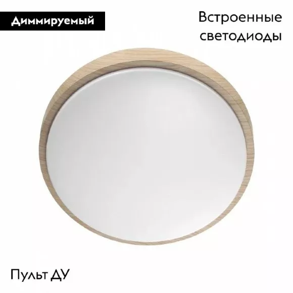 Настенно-потолочный светильник Sonex Losta 7607/EL Настенно-потолочный светильник Sonex Losta 7607/EL