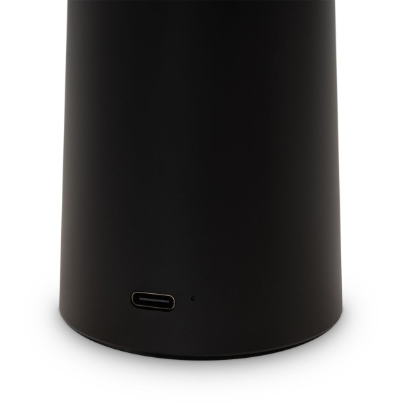 Настольная аккумуляторная лампа Freya Mushroom FR6109TL-L4B