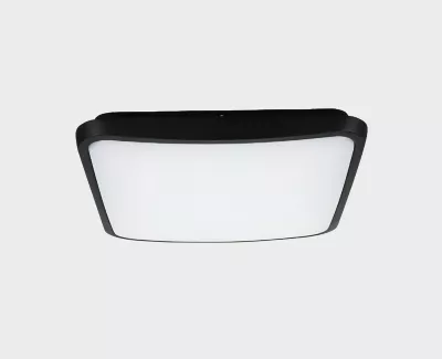 Уличный потолочный светильник Italline IT6012