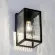 Уличный настенный светильник Citilux Forts CLU09W1