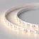 Светодиодная лента Arlight Rtw-se-b60-10mm 5060 015279(2)