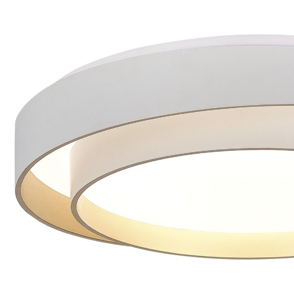 Потолочный светильник Evoluce Crosby SLE6009-502-01