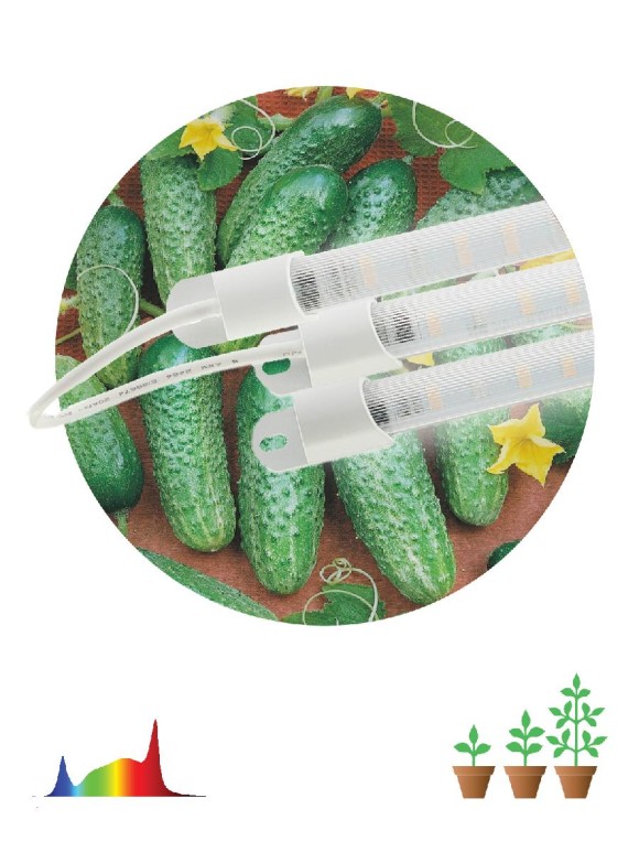 Модульный светильник для растений Эра FITO-3х10W-LINE-Ra90 Б0049315