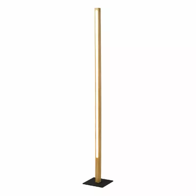 Торшер Lussole Modesto LSP-0907