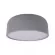 Потолочный светильник Loft IT Axel 10201/350 Grey