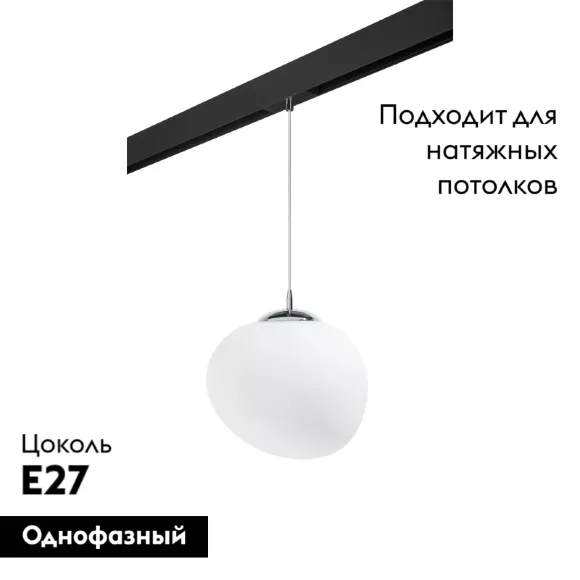 Трековый светильник Lightstar Arnia PRO805016 (805016+595007), Хром, Белый, Металл