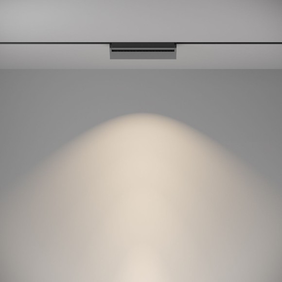 Трековый светильник Maytoni Technical Basis Rot TR075-2-20W4K-B