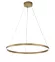 Подвесная люстра Indigo Galass 14001/1P Gold V000017L, 3000, 5700