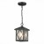 Уличный подвесной светильник ST Luce Lorne SL084.403.01