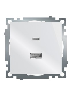 Розетка 2-местная USB + type C Stekker Катрин GLS10-7116-01 50051