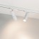 Трековый трехфазный светильник Arlight LGD-ARTEMIS-TRACK-4TR-R55-12W Day4000 (WH, 8-80 deg, 230V, DALI) 057881
