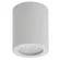 Потолочный светильник Denkirs DK3007-WH