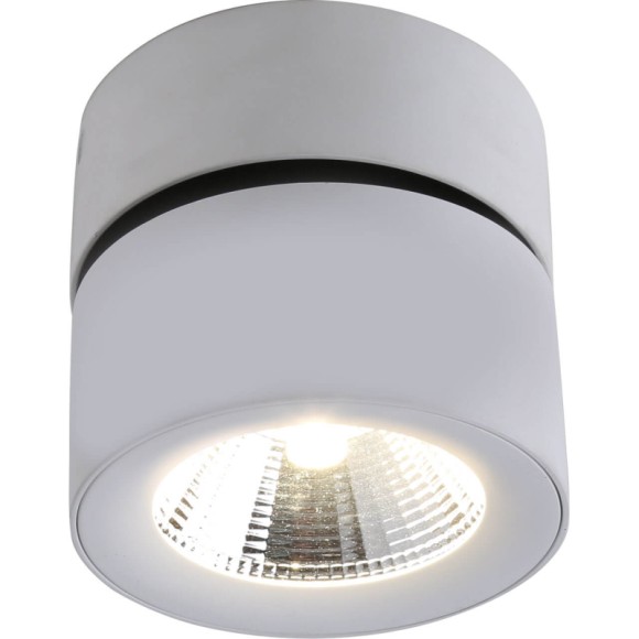 Светодиодный спот Divinare Urchin 1295/03 PL-1, LED, 10W, белый