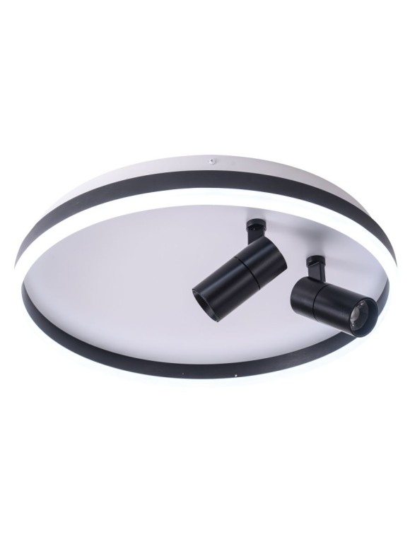 Потолочный светильник Zortes Raizy ZRS.1888.01